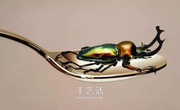 真沒糊弄你！韓國畫家一筆一筆畫的超寫實(shí)畫 -  rpnrmr.com