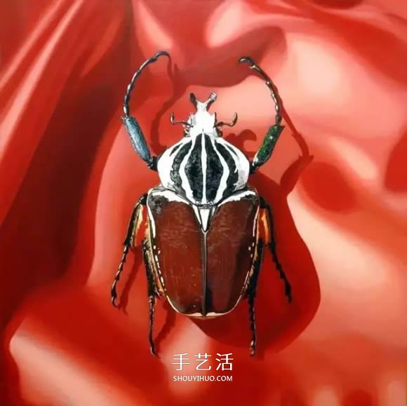 真沒糊弄你！韓國畫家一筆一筆畫的超寫實(shí)畫 -  rpnrmr.com