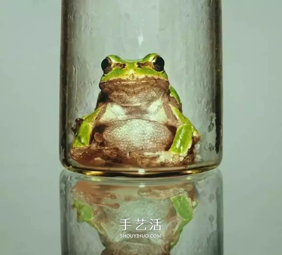 真沒糊弄你！韓國畫家一筆一筆畫的超寫實(shí)畫 -  rpnrmr.com