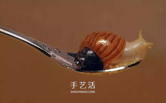 真沒糊弄你！韓國畫家一筆一筆畫的超寫實(shí)畫 -  rpnrmr.com