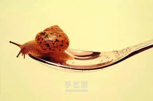真沒糊弄你！韓國畫家一筆一筆畫的超寫實(shí)畫 -  rpnrmr.com