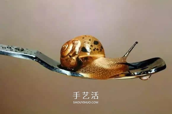 真沒糊弄你！韓國畫家一筆一筆畫的超寫實(shí)畫 -  rpnrmr.com