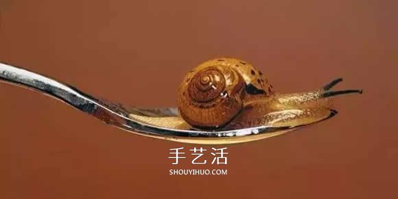 真沒糊弄你！韓國畫家一筆一筆畫的超寫實(shí)畫 -  rpnrmr.com