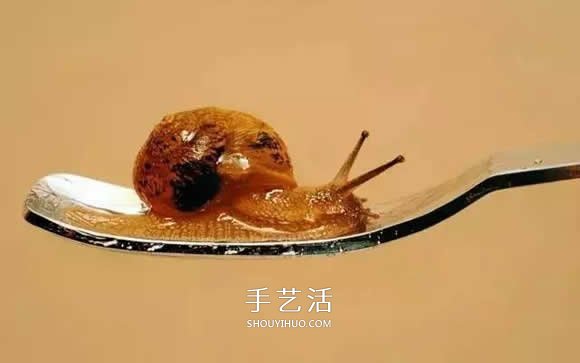 真沒糊弄你！韓國畫家一筆一筆畫的超寫實(shí)畫 -  rpnrmr.com