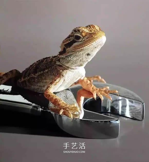 真沒糊弄你！韓國畫家一筆一筆畫的超寫實(shí)畫 -  rpnrmr.com