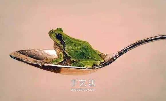 真沒糊弄你！韓國畫家一筆一筆畫的超寫實(shí)畫 -  rpnrmr.com