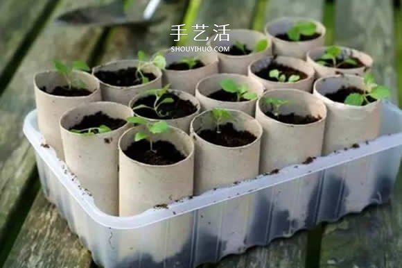 衛(wèi)生紙芯廢物利用 原來可以有這么多的妙用！ -  rpnrmr.com