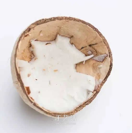 椰子殼可以利用來(lái)做什么 椰子殼創(chuàng)意手工大全 -  rpnrmr.com