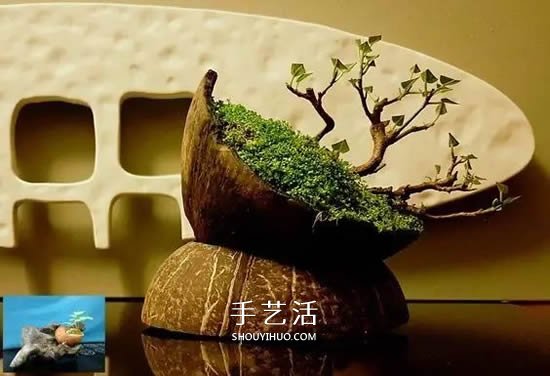 椰子殼可以利用來(lái)做什么 椰子殼創(chuàng)意手工大全 -  rpnrmr.com