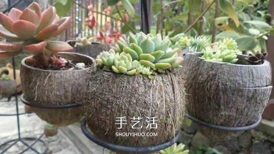 椰子殼可以利用來(lái)做什么 椰子殼創(chuàng)意手工大全 -  rpnrmr.com
