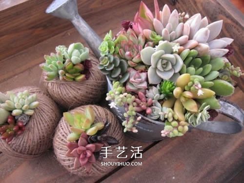 別浪費錢買花盆！用繩子就可以種出美麗多肉 -  rpnrmr.com