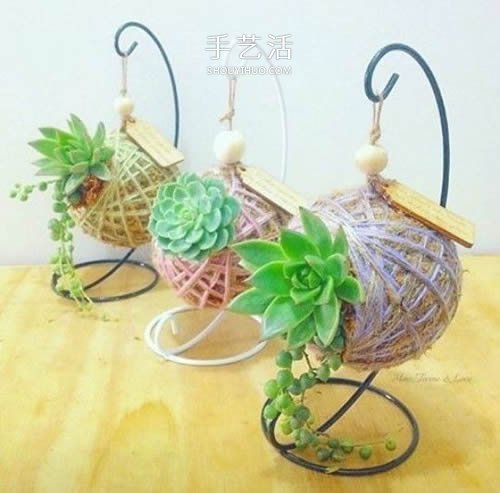 別浪費錢買花盆！用繩子就可以種出美麗多肉 -  rpnrmr.com