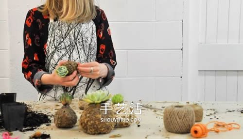 別浪費錢買花盆！用繩子就可以種出美麗多肉 -  rpnrmr.com
