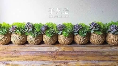別浪費錢買花盆！用繩子就可以種出美麗多肉 -  rpnrmr.com