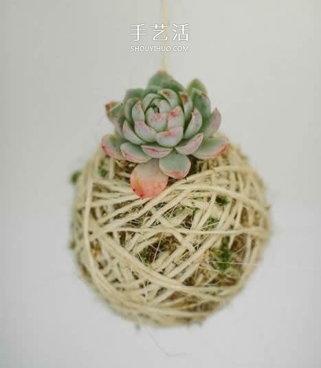 別浪費錢買花盆！用繩子就可以種出美麗多肉 -  rpnrmr.com