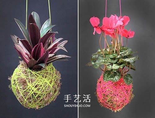 別浪費錢買花盆！用繩子就可以種出美麗多肉 -  rpnrmr.com