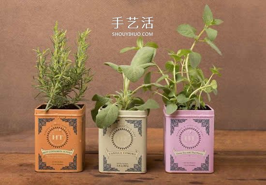不花一分錢！廢物利用做花盆美到讓鄰居羨慕 -  rpnrmr.com
