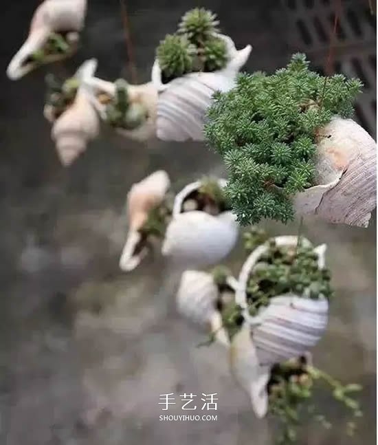 不花一分錢！廢物利用做花盆美到讓鄰居羨慕 -  rpnrmr.com