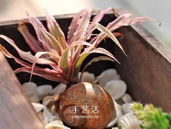 不花一分錢！廢物利用做花盆美到讓鄰居羨慕 -  rpnrmr.com