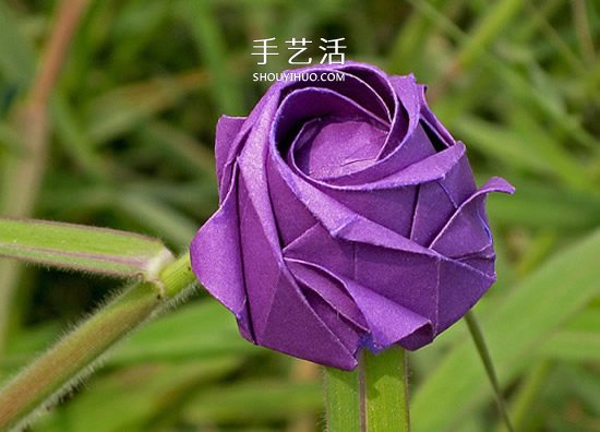 五瓣川崎玫瑰花的折紙圖解 步驟講解很詳細(xì)！ -  rpnrmr.com