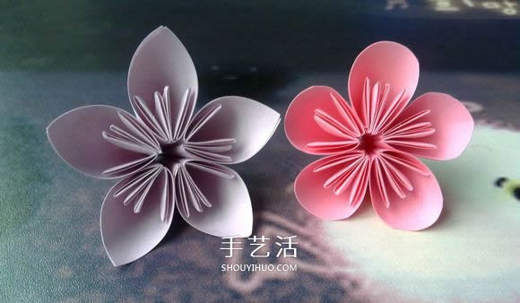 肯定學(xué)得會(huì)！超簡單五瓣櫻花的折紙方法步驟 -  rpnrmr.com