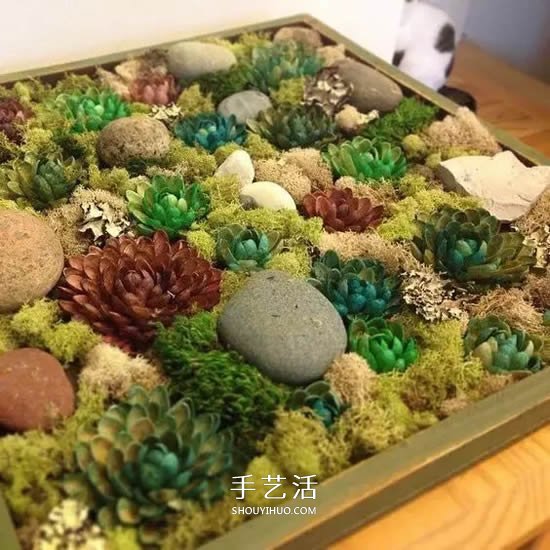 開心果殼粘畫手工制作 這么全的DIY可別錯過 -  rpnrmr.com