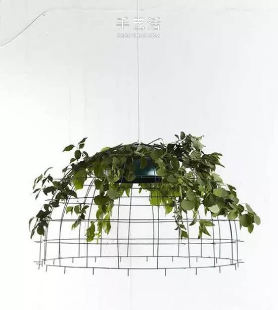 省地又好看的種花方式 原來花盆還能這么放 -  rpnrmr.com