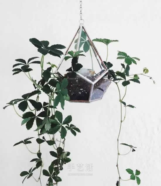 省地又好看的種花方式 原來花盆還能這么放 -  rpnrmr.com