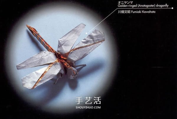 手工折紙逼真蜻蜓圖解 怎么做紙蜻蜓的折法 -  rpnrmr.com