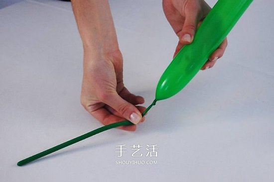 氣球造型椰子樹的做法 用氣球手工制作椰子樹 -  rpnrmr.com