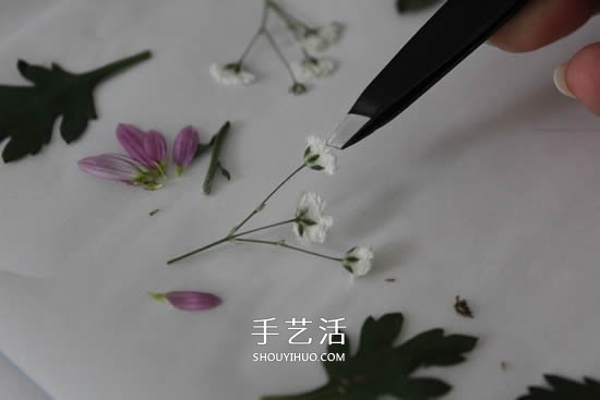 自制母親節(jié)壓花卡片 用干花做賀卡的方法圖解 -  rpnrmr.com