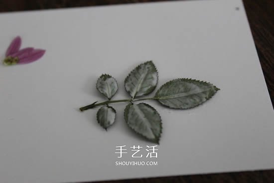 自制母親節(jié)壓花卡片 用干花做賀卡的方法圖解 -  rpnrmr.com