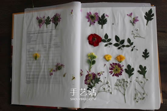 自制母親節(jié)壓花卡片 用干花做賀卡的方法圖解 -  rpnrmr.com