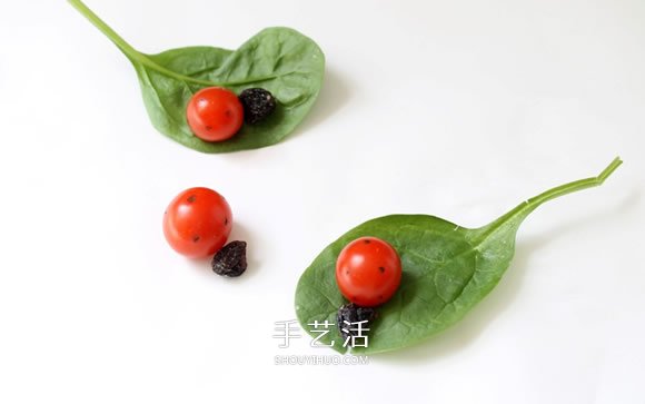 簡單蔬菜昆蟲的做法 蜻蜓蝸牛用蔬菜做教程 -  rpnrmr.com