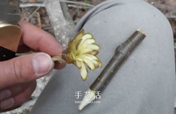 簡單手工樹枝雕刻做花的方法圖解教程 -  rpnrmr.com