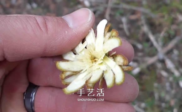 簡單手工樹枝雕刻做花的方法圖解教程 -  rpnrmr.com