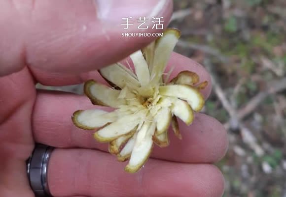 簡單手工樹枝雕刻做花的方法圖解教程 -  rpnrmr.com