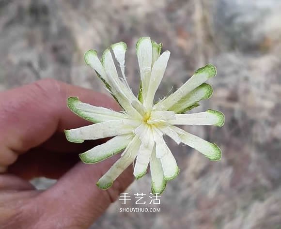 簡單手工樹枝雕刻做花的方法圖解教程 -  rpnrmr.com