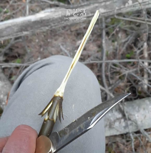 簡單手工樹枝雕刻做花的方法圖解教程 -  rpnrmr.com