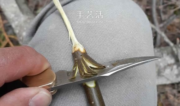 簡單手工樹枝雕刻做花的方法圖解教程 -  rpnrmr.com