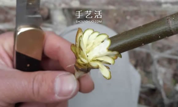 簡單手工樹枝雕刻做花的方法圖解教程 -  rpnrmr.com