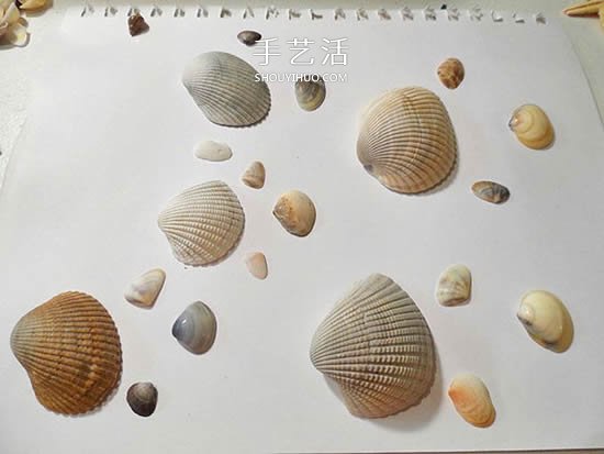 海邊撿回的貝殼 手工拼貼可愛小魚的圖解教程 -  rpnrmr.com