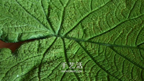 水泥混凝土葉子裝飾盤制作 也可以當(dāng)水果盤用！ -  rpnrmr.com