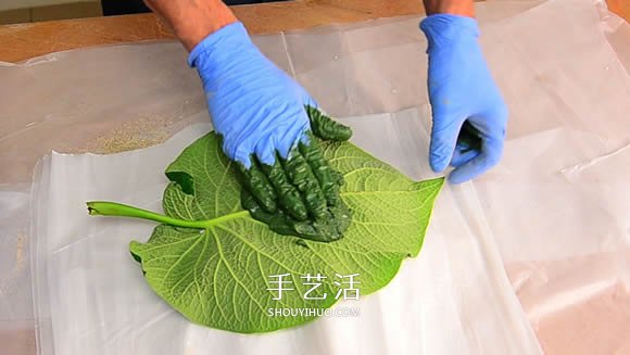 水泥混凝土葉子裝飾盤制作 也可以當(dāng)水果盤用！ -  rpnrmr.com