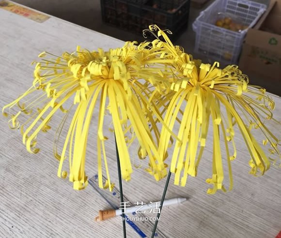 重陽(yáng)節(jié)大菊花的制作方法 簡(jiǎn)單又美麗！ -  rpnrmr.com