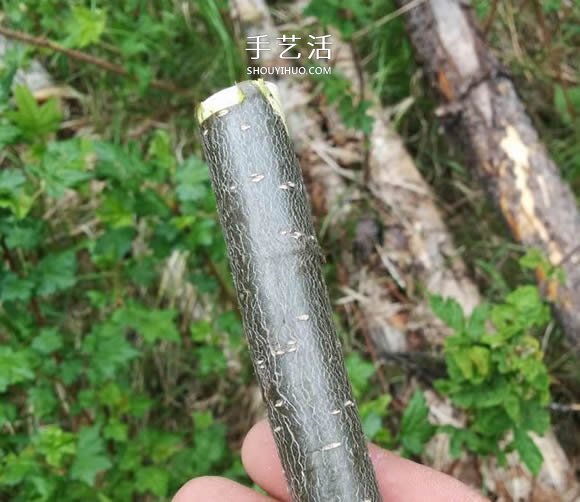 自制陀螺的方法 用樹(shù)枝雕刻制作而成！ -  rpnrmr.com