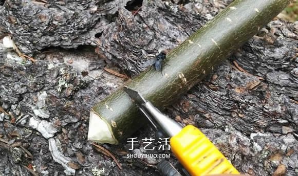 自制陀螺的方法 用樹(shù)枝雕刻制作而成！ -  rpnrmr.com