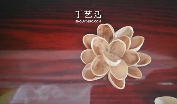 開心果殼手工制作插花裝飾品的做法 -  rpnrmr.com