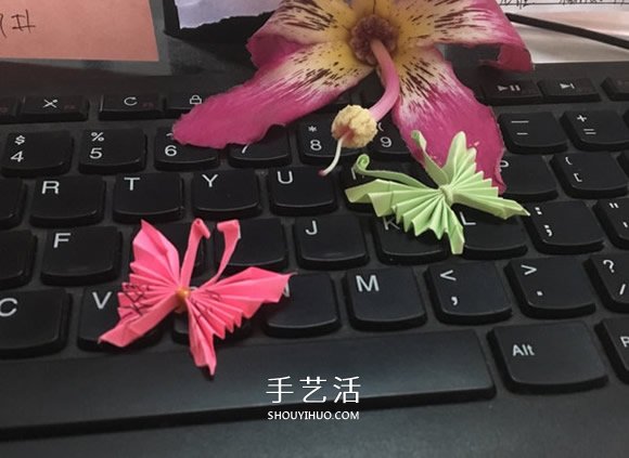 簡(jiǎn)單的方法折紙蝴蝶的圖解教程 -  rpnrmr.com