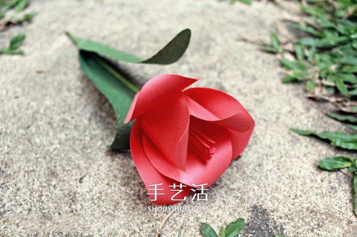 手揉紙手工制作超美郁金香花的做法 -  rpnrmr.com